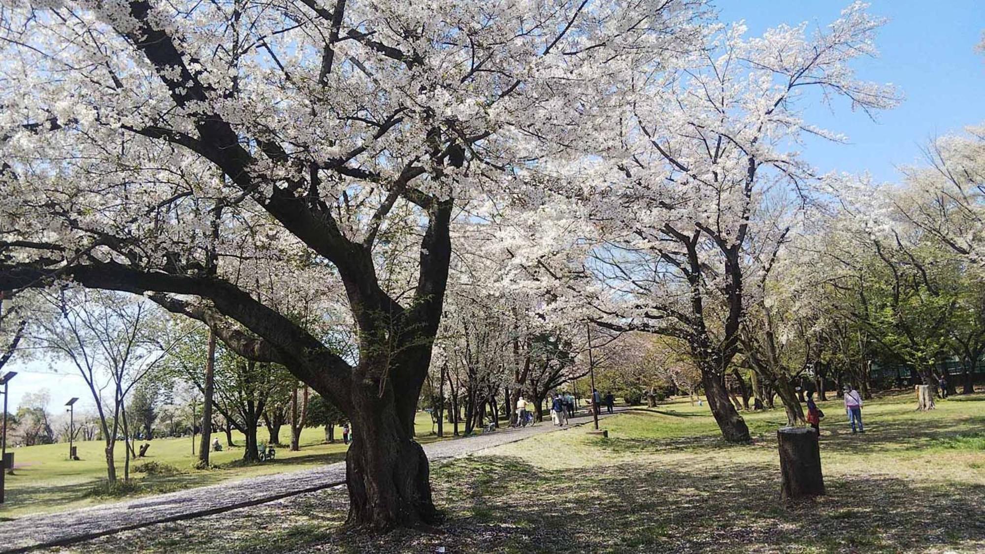 Toyoko Inn Wako-Shi Ekimae Exteriör bild